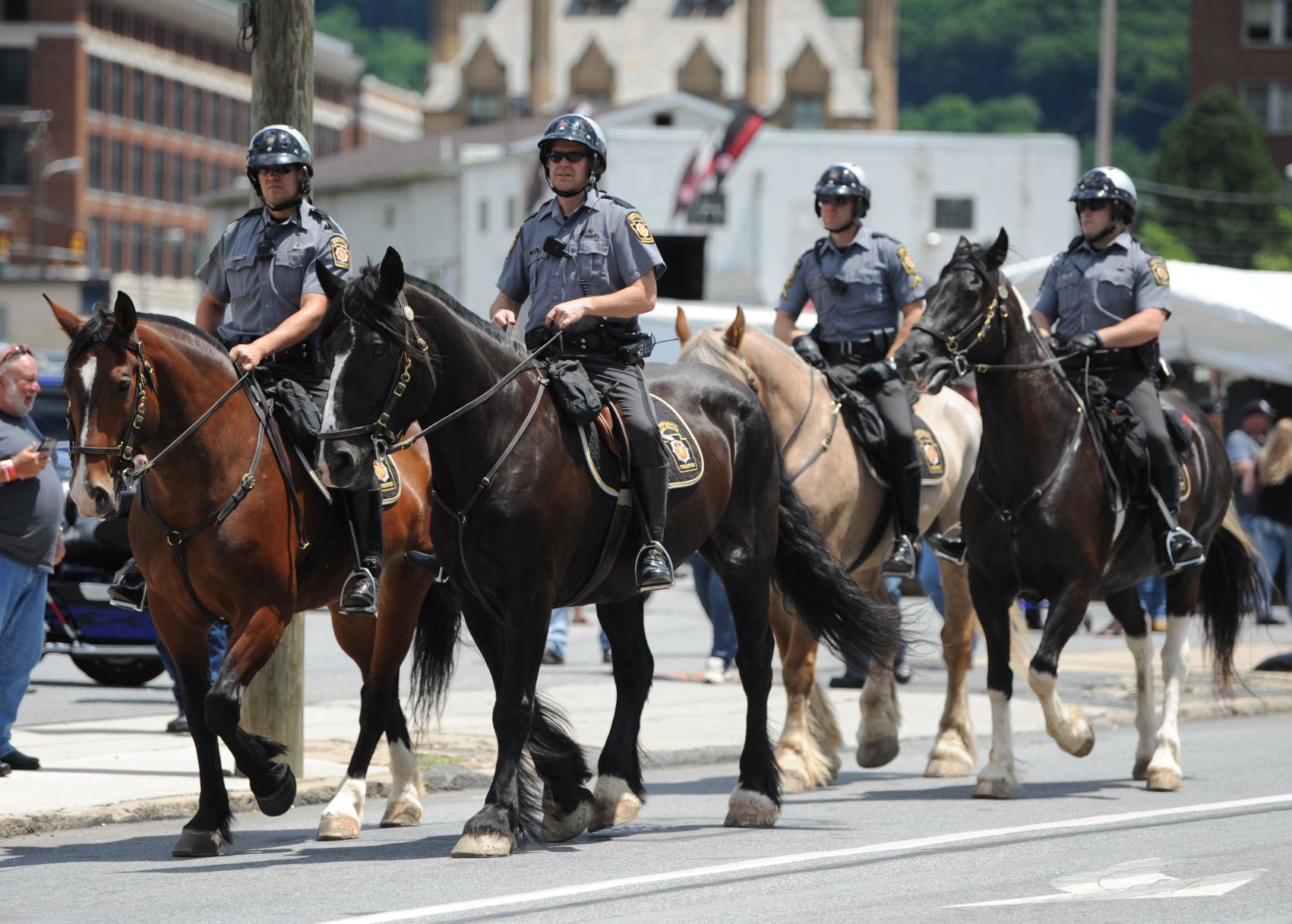 horses